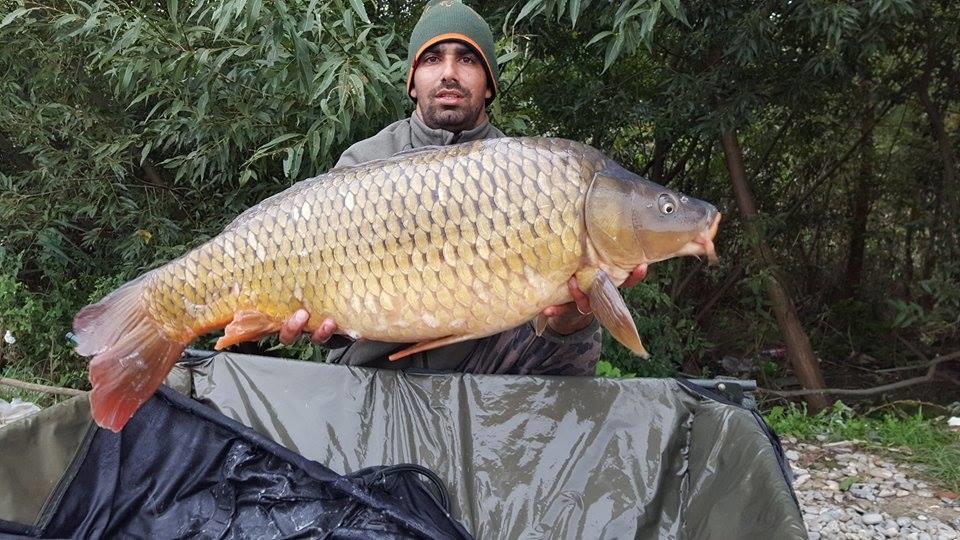 Cupa Toamnei !  8 - 11 octombrie 2015 - 121670199423760324965162039694481n.jpg